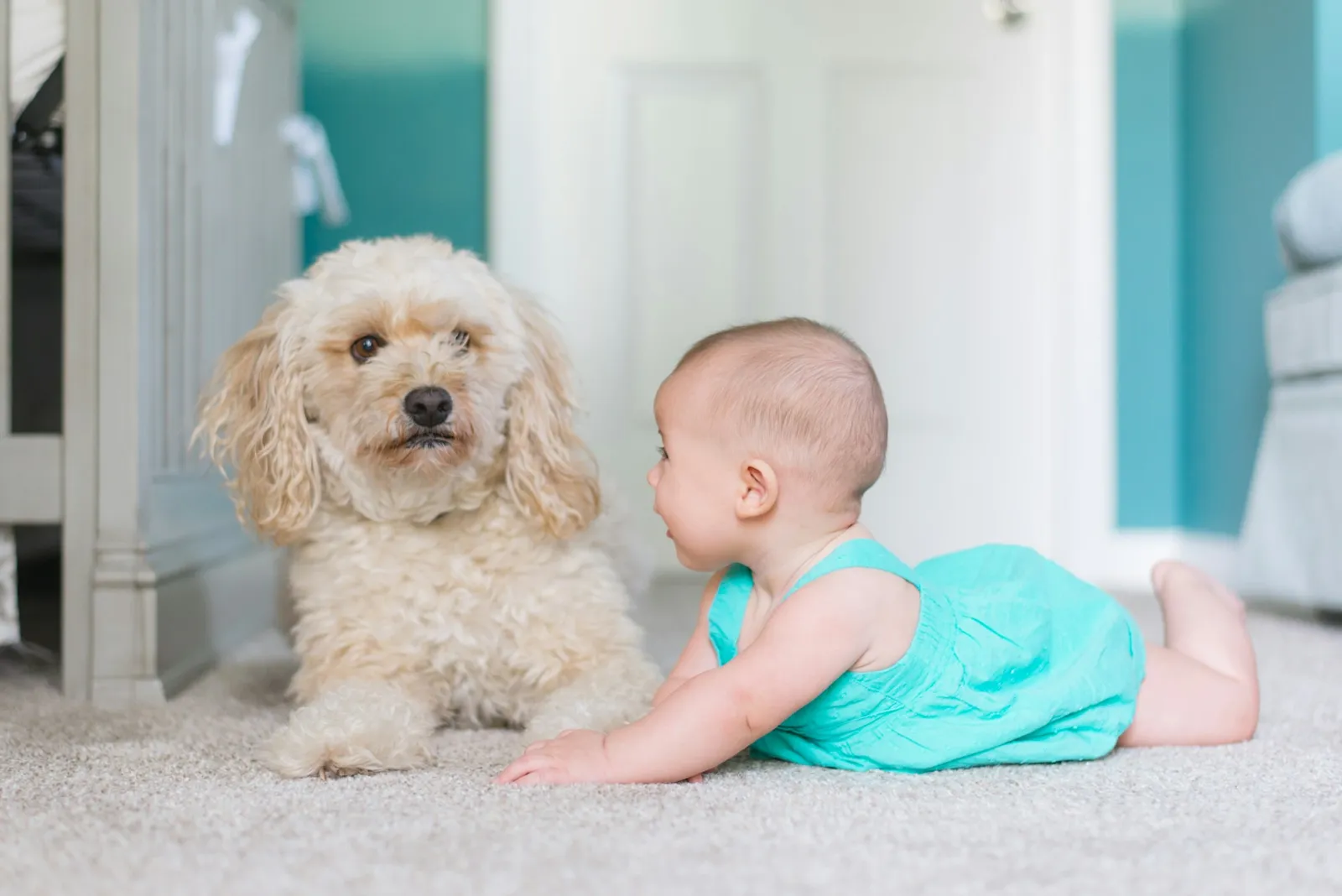 Halının üzerinde bebek ve köpek